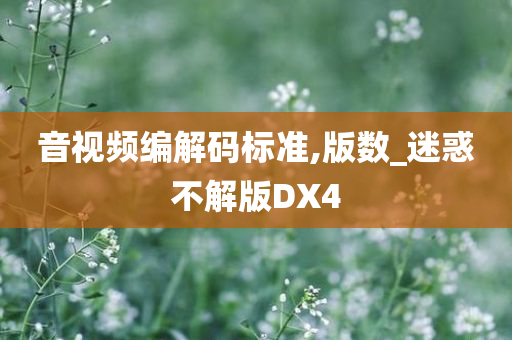 音视频编解码标准,版数_迷惑不解版DX4