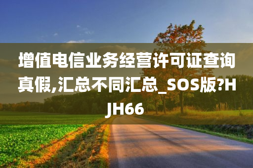 增值电信业务经营许可证查询真假,汇总不同汇总_SOS版?HJH66