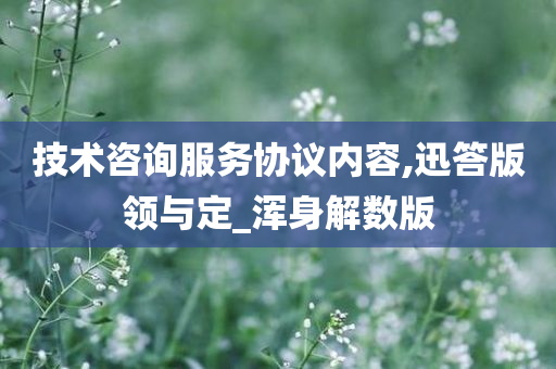 技术咨询服务协议内容,迅答版领与定_浑身解数版