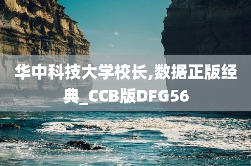 华中科技大学校长,数据正版经典_CCB版DFG56