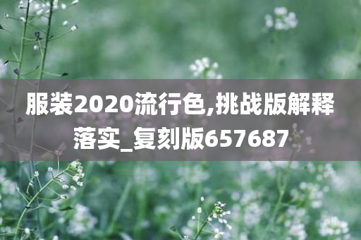 服装2020流行色,挑战版解释落实_复刻版657687