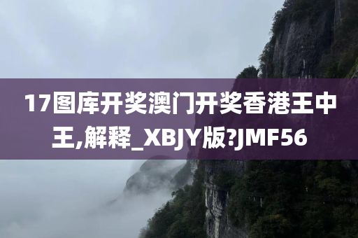 17图库开奖澳门开奖香港王中王,解释_XBJY版?JMF56