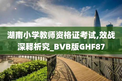 湖南小学教师资格证考试,效战深释析究_BVB版GHF87