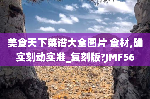 美食天下菜谱大全图片 食材,确实刻动实准_复刻版?JMF56