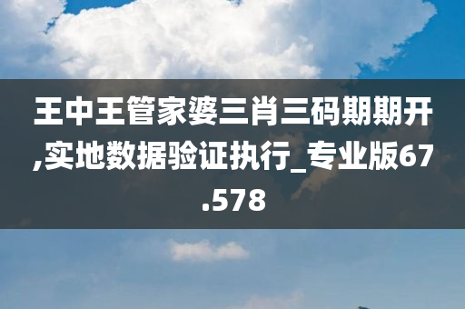 王中王管家婆三肖三码期期开,实地数据验证执行_专业版67.578