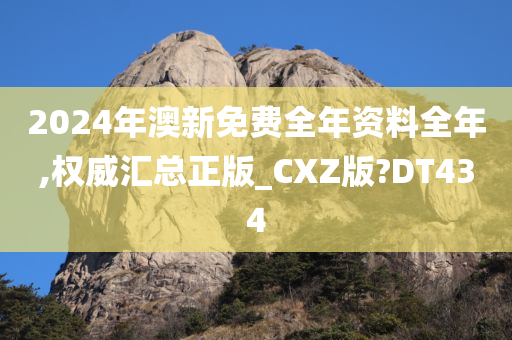 2024年澳新免费全年资料全年,权威汇总正版_CXZ版?DT434