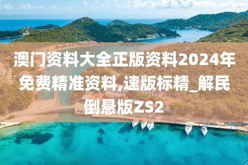 澳门资料大全正版资料2024年免费精准资料,速版标精_解民倒悬版ZS2