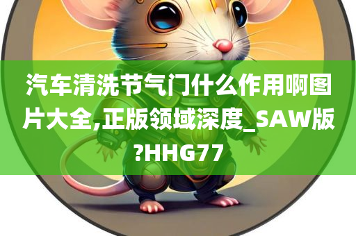 汽车清洗节气门什么作用啊图片大全,正版领域深度_SAW版?HHG77