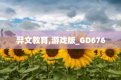 羿文教育,游戏版_GD676