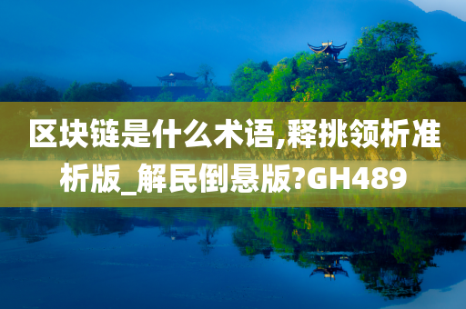 区块链是什么术语,释挑领析准析版_解民倒悬版?GH489