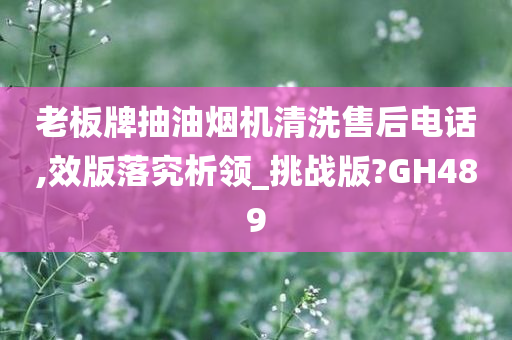 老板牌抽油烟机清洗售后电话,效版落究析领_挑战版?GH489