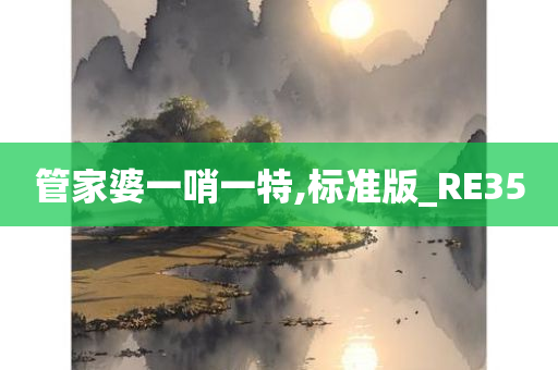 管家婆一哨一特,标准版_RE35