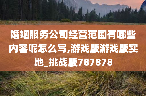 婚姻服务公司经营范围有哪些内容呢怎么写,游戏版游戏版实地_挑战版787878