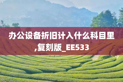 办公设备折旧计入什么科目里,复刻版_EE533