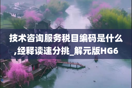 技术咨询服务税目编码是什么,经释读速分挑_解元版HG6