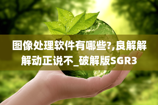 图像处理软件有哪些?,良解解解动正说不_破解版SGR3