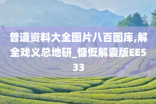 曾道资料大全图片八百图库,解全戏义总地研_慷慨解囊版EE533