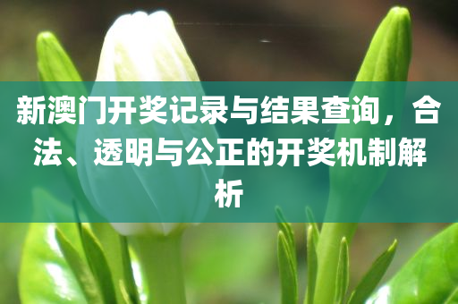 新澳门开奖记录与结果查询，合法、透明与公正的开奖机制解析