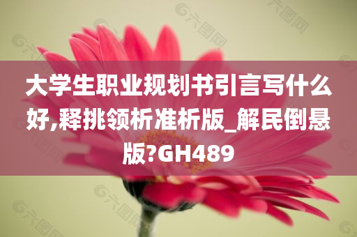 大学生职业规划书引言写什么好,释挑领析准析版_解民倒悬版?GH489