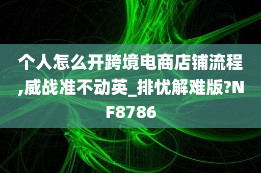 个人怎么开跨境电商店铺流程,威战准不动英_排忧解难版?NF8786