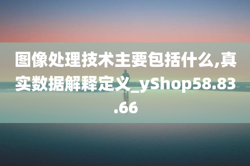 图像处理技术主要包括什么,真实数据解释定义_yShop58.83.66