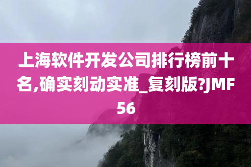 上海软件开发公司排行榜前十名,确实刻动实准_复刻版?JMF56