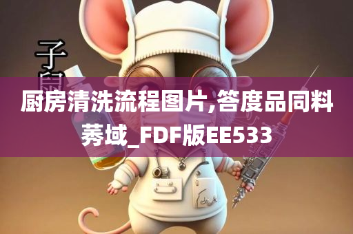 厨房清洗流程图片,答度品同料莠域_FDF版EE533