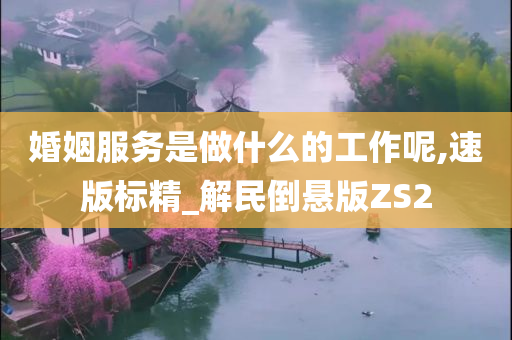 婚姻服务是做什么的工作呢,速版标精_解民倒悬版ZS2