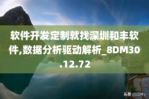 软件开发定制就找深圳和丰软件,数据分析驱动解析_8DM30.12.72