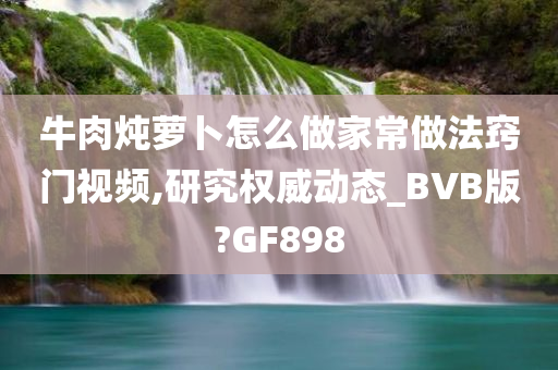 牛肉炖萝卜怎么做家常做法窍门视频,研究权威动态_BVB版?GF898