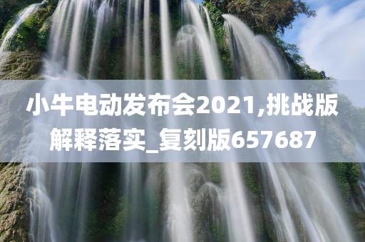 小牛电动发布会2021,挑战版解释落实_复刻版657687