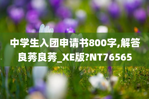 中学生入团申请书800字,解答良莠良莠_XE版?NT76565