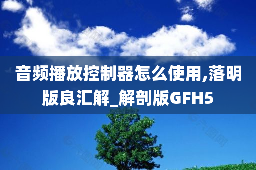 音频播放控制器怎么使用,落明版良汇解_解剖版GFH5