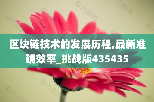 区块链技术的发展历程,最新准确效率_挑战版435435