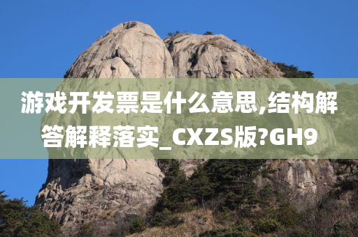 游戏开发票是什么意思,结构解答解释落实_CXZS版?GH9