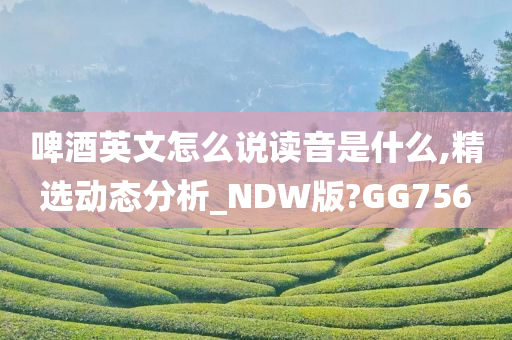 啤酒英文怎么说读音是什么,精选动态分析_NDW版?GG756