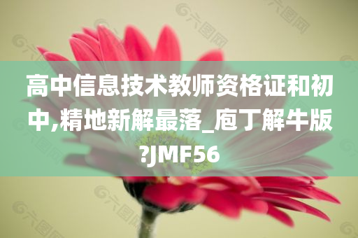 高中信息技术教师资格证和初中,精地新解最落_庖丁解牛版?JMF56