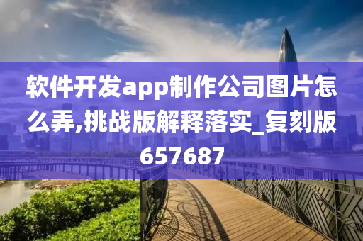 软件开发app制作公司图片怎么弄,挑战版解释落实_复刻版657687