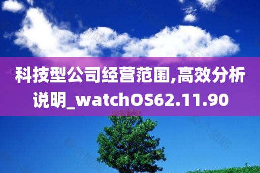 科技型公司经营范围,高效分析说明_watchOS62.11.90