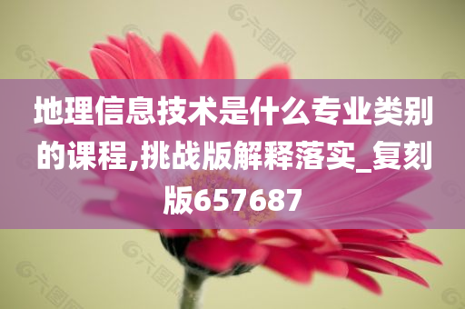 地理信息技术是什么专业类别的课程,挑战版解释落实_复刻版657687