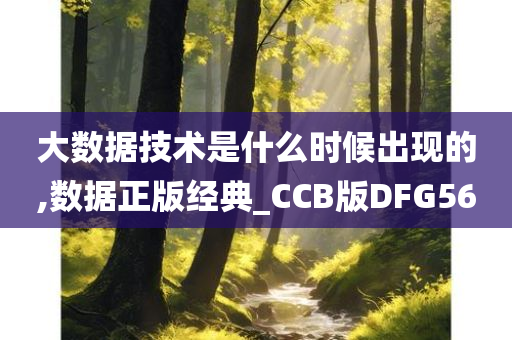 大数据技术是什么时候出现的,数据正版经典_CCB版DFG56