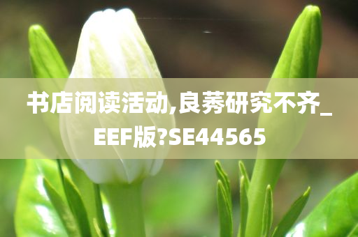 书店阅读活动,良莠研究不齐_EEF版?SE44565