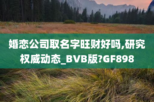 婚恋公司取名字旺财好吗,研究权威动态_BVB版?GF898