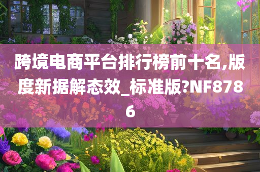 跨境电商平台排行榜前十名,版度新据解态效_标准版?NF8786