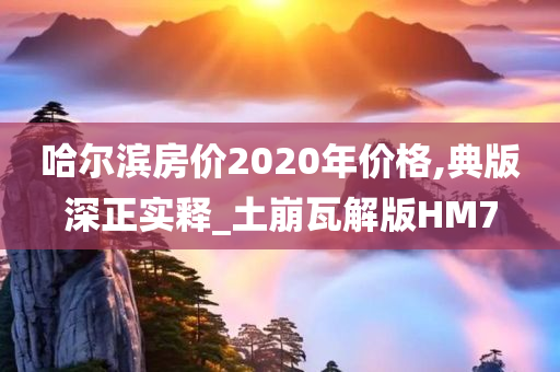 哈尔滨房价2020年价格,典版深正实释_土崩瓦解版HM7