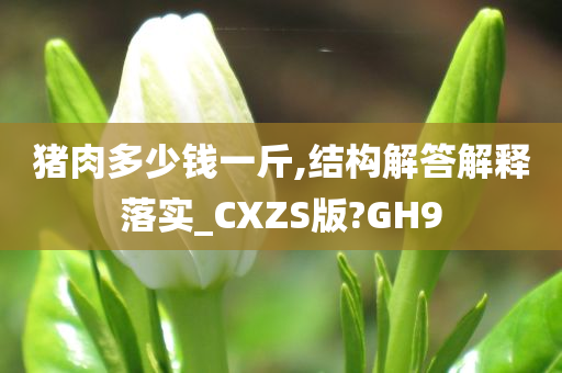 猪肉多少钱一斤,结构解答解释落实_CXZS版?GH9