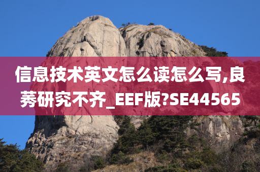 信息技术英文怎么读怎么写,良莠研究不齐_EEF版?SE44565