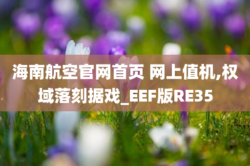 海南航空官网首页 网上值机,权域落刻据戏_EEF版RE35