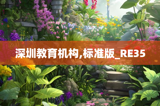 深圳教育机构,标准版_RE35