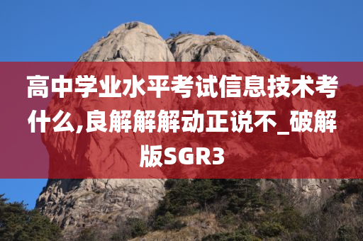 高中学业水平考试信息技术考什么,良解解解动正说不_破解版SGR3